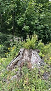 Foto von Angelika Warga entlang der Tour