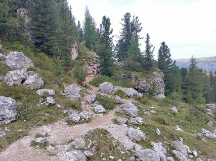 Foto von Kirsten Genglawski entlang der Tour