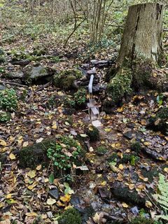 Photo de Rossel Reinhardt1 le long du parcours