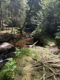 Foto von Andreas Hanek entlang der Tour