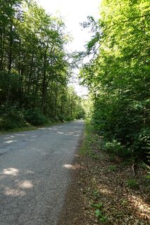 Weg / Zufahrt zum Bremer Teich