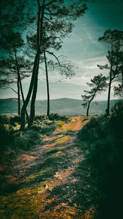 Photo de Neno le long du parcours