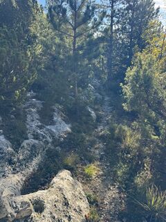 Foto van Jean-Pierre Ghidelli langs de tour