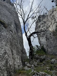 Foto von Mohammadali Sorouri entlang der Tour