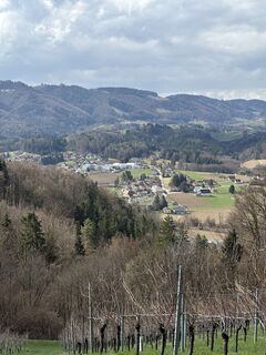 Fotografie z Reinhard Frewein na trase