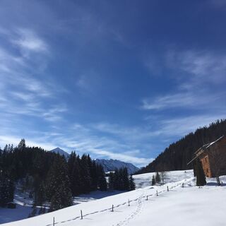 Unterwegs im Wäldele