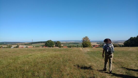 Klosterwanderweg - Feldweg nach Drübeck