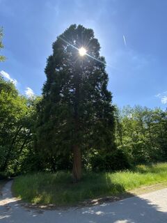 Foto de Arthur Muskalla a lo largo del recorrido