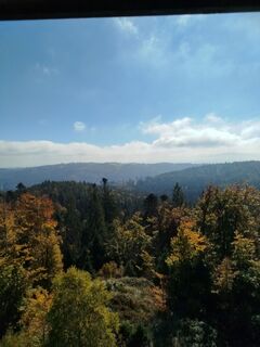 Foto fra Albert Seitz undervejs på turen