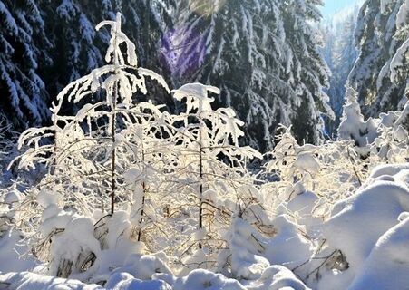 Winter in Fischbach_Oststeiermark