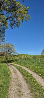 Fotografia z Bruunoo na trase