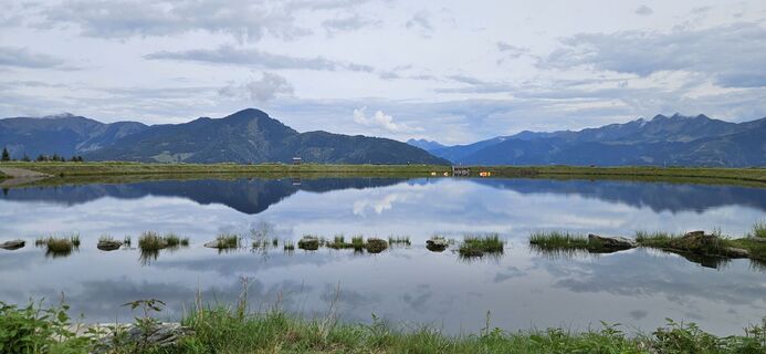 Fotografia z Berni_S na trase