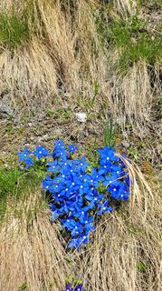 Foto från Sun under resans gång