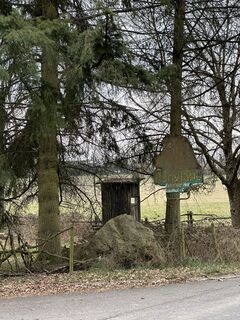Fotografija s spletne strani Даниил Пальчиков na poti