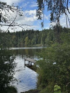 Foto da Denise Miller lungo il tour