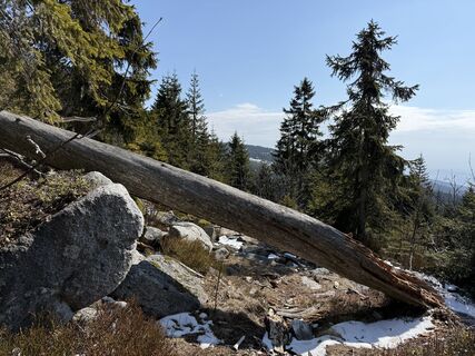 Fotografia z Natur_erleben_dg na trase