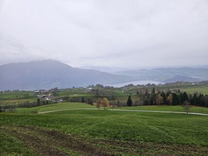 Fotografia z Heinz Signer na trase