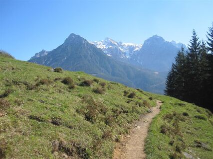 Winterstelleralm