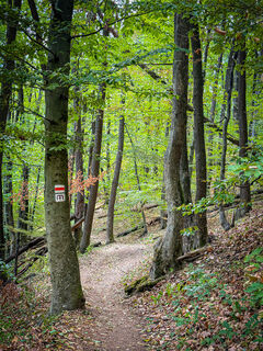 Photo de Bigjohn71 le long du parcours