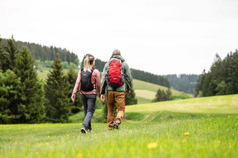 Wandern auf dem Heilklima-Steig