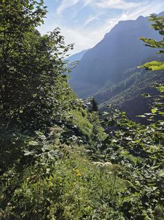 Foto från Sven under resans gång
