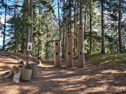 Waldspielplatz