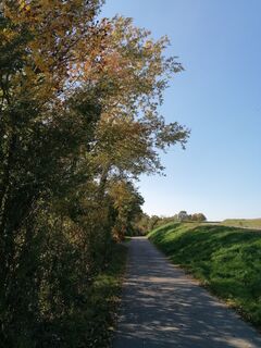 Fotografia z Dragoljub Ilic na trase