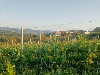 Fotografia z simone ravasi na trase