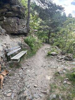 Foto från Peter Schäfer under resans gång