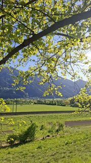 Foto von Mangolein entlang der Tour