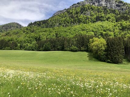 Foto de xmann2 a lo largo del recorrido