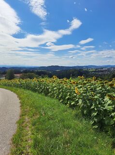 Foto von Andreas Pammer entlang der Tour