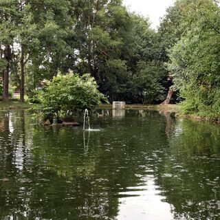 Teich in Dürrenbüchig