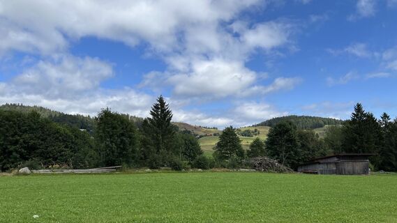 Foto van Volki F. langs de tour