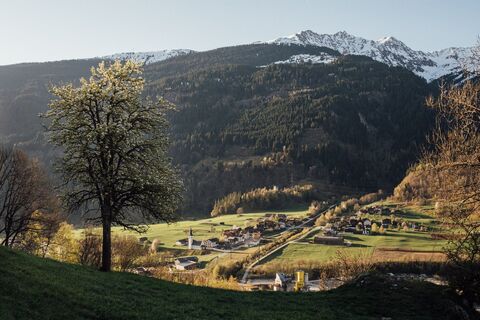 Zignau