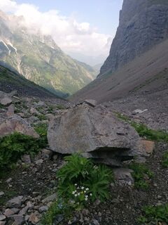 Photo de Dagmar Hofer le long du parcours