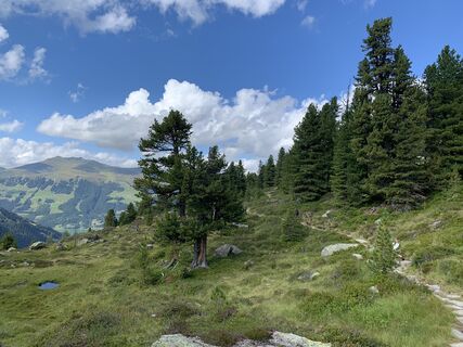 Fotó a Koen De Wit honlapról a túra során