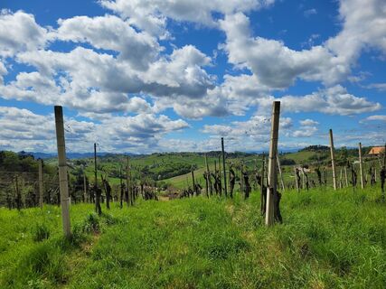 Fotografia z Juliane Jarke na trase