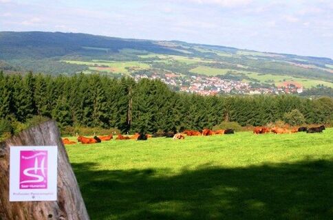 Aussicht auf Primstal