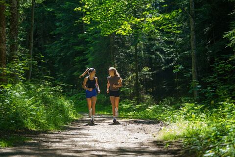 Joggen auf dem Kulmbergrundweg