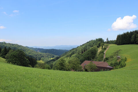 Ausblick oberhalb der Vesperstube "Harkhof"