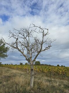 Photo de Ralf Gladen le long du parcours