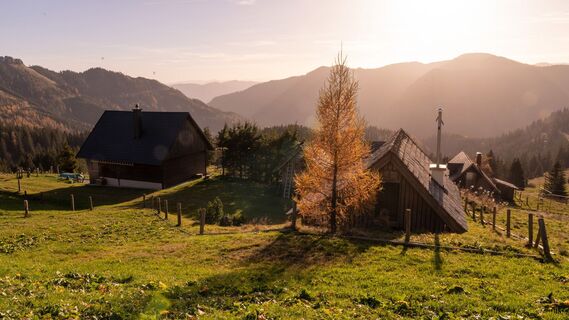 Turnauer Alm
