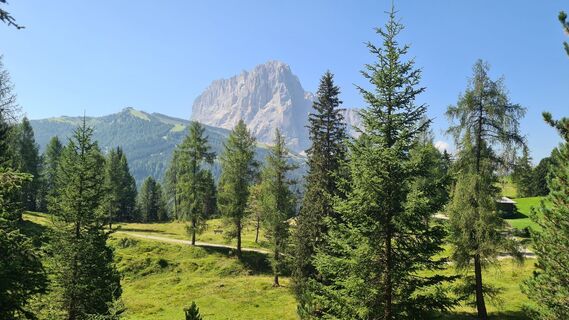 Foto von Michael Krämer 12 entlang der Tour