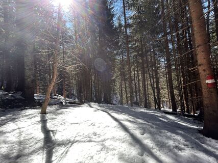 Foto von Rowena Raubach entlang der Tour