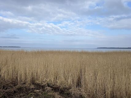 Fotografija s spletne strani Bernd Schattschneider na poti