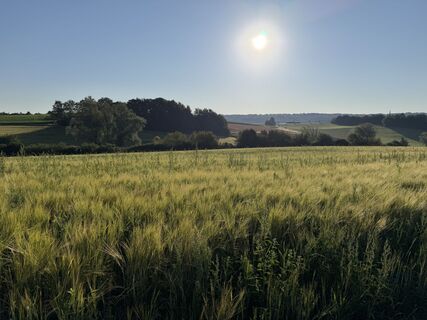 Foto von Schaali entlang der Tour