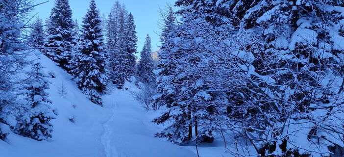 Foto von Hein Sleddens entlang der Tour