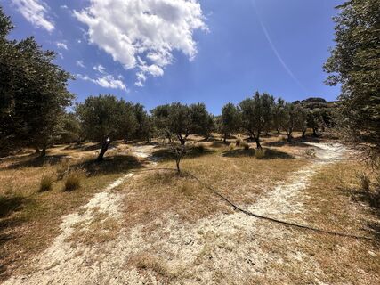 Photo de Micha le long du parcours