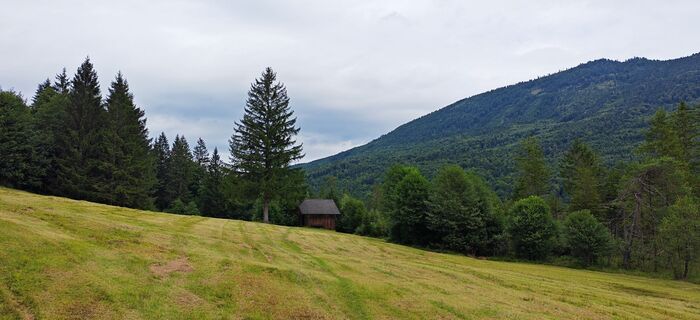 Foto von ReginaSt entlang der Tour